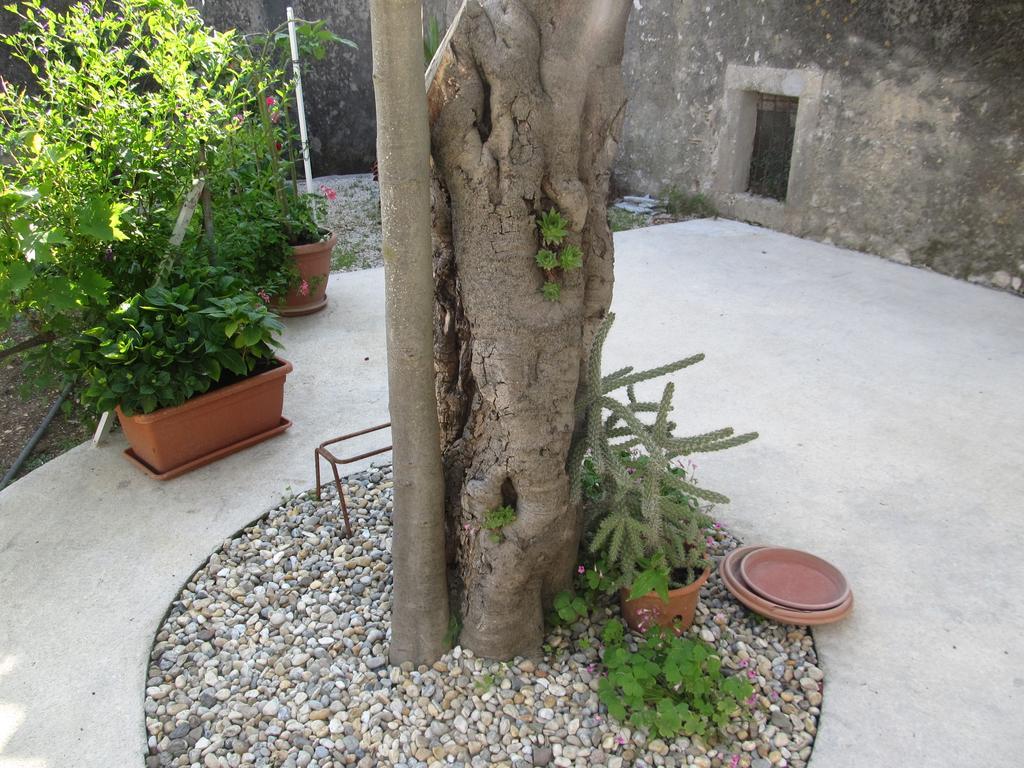 Hotel Hotel Petrcane Petrcane