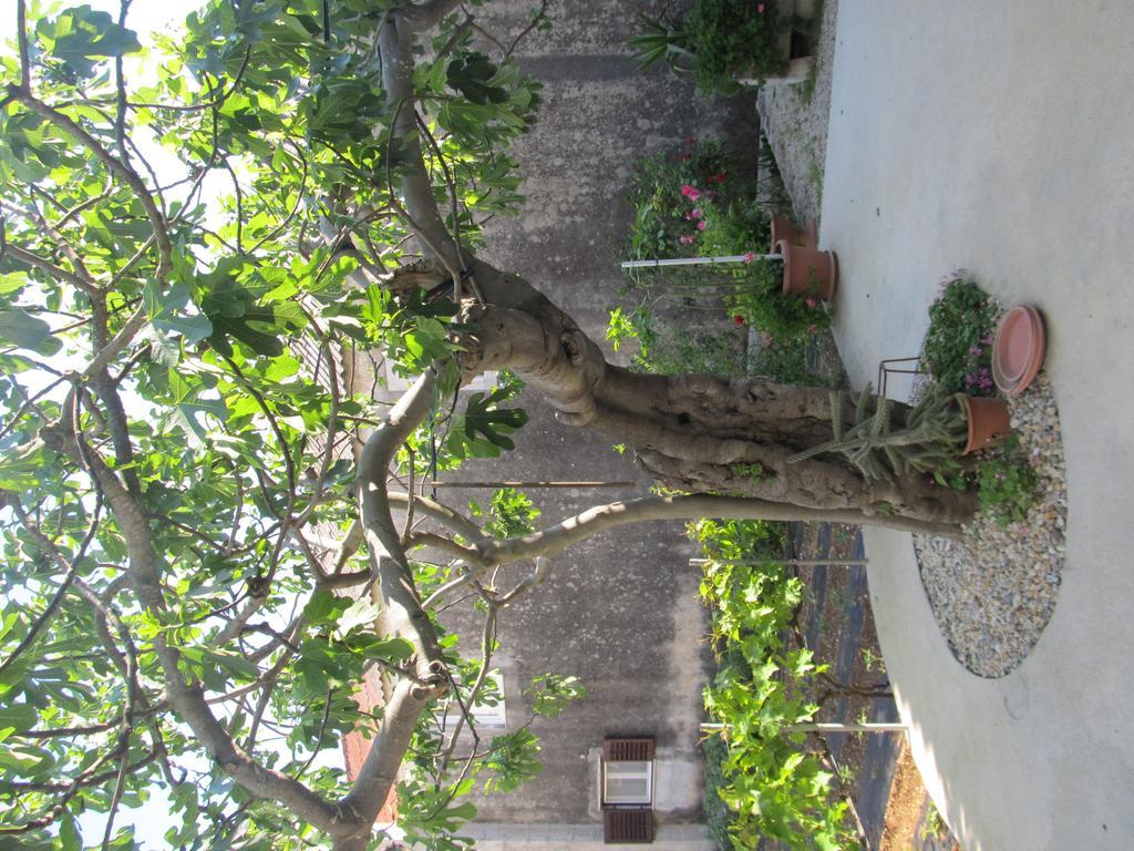 Hotel Petrcane Petrcane