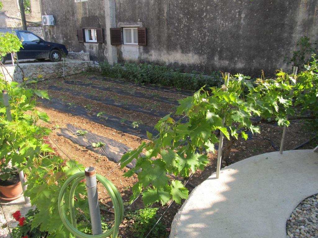 Hotel Petrcane